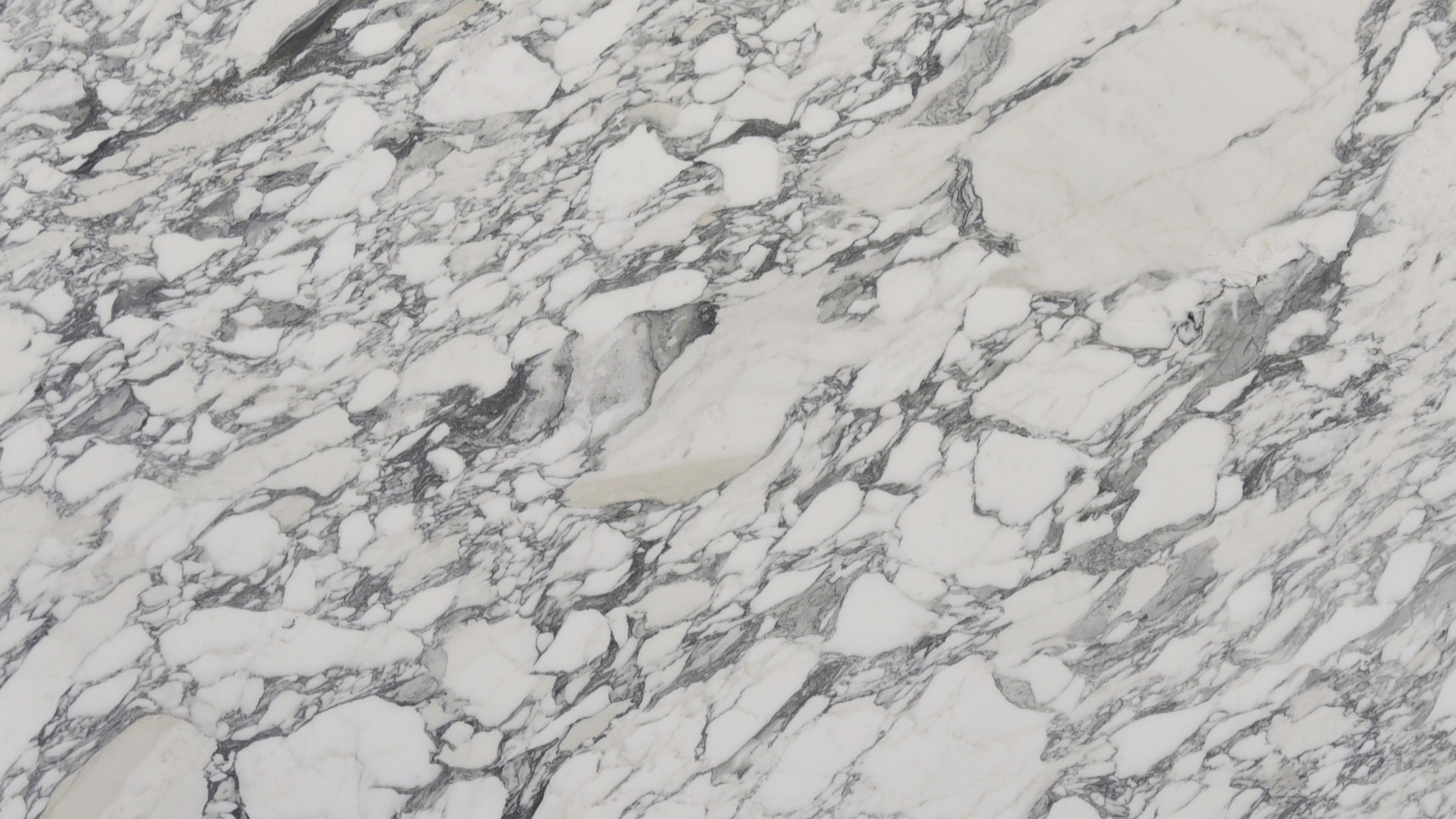 Arabescato Corchia Slabs