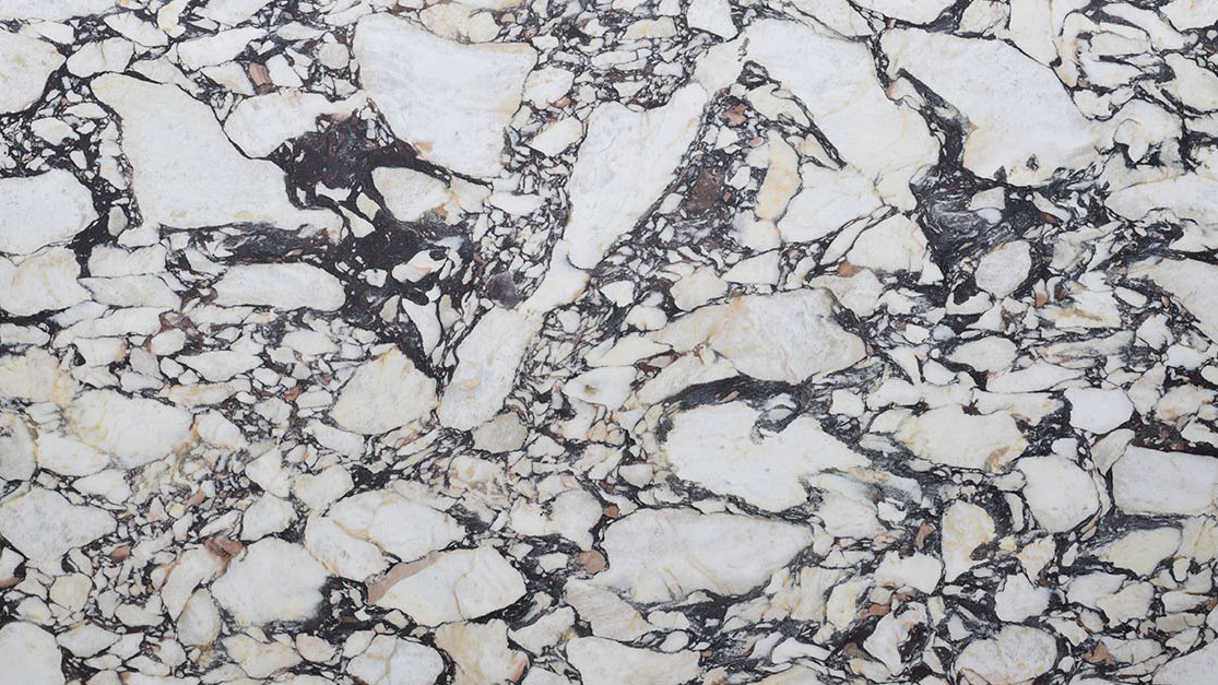 Calacatta Viola Slabs
