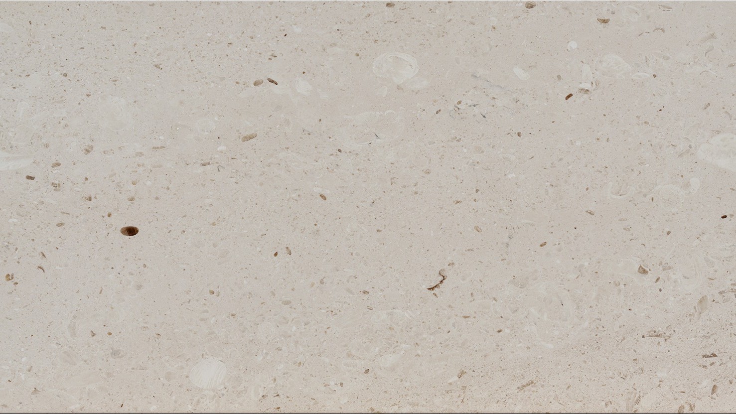 Panna Fossil Slabs