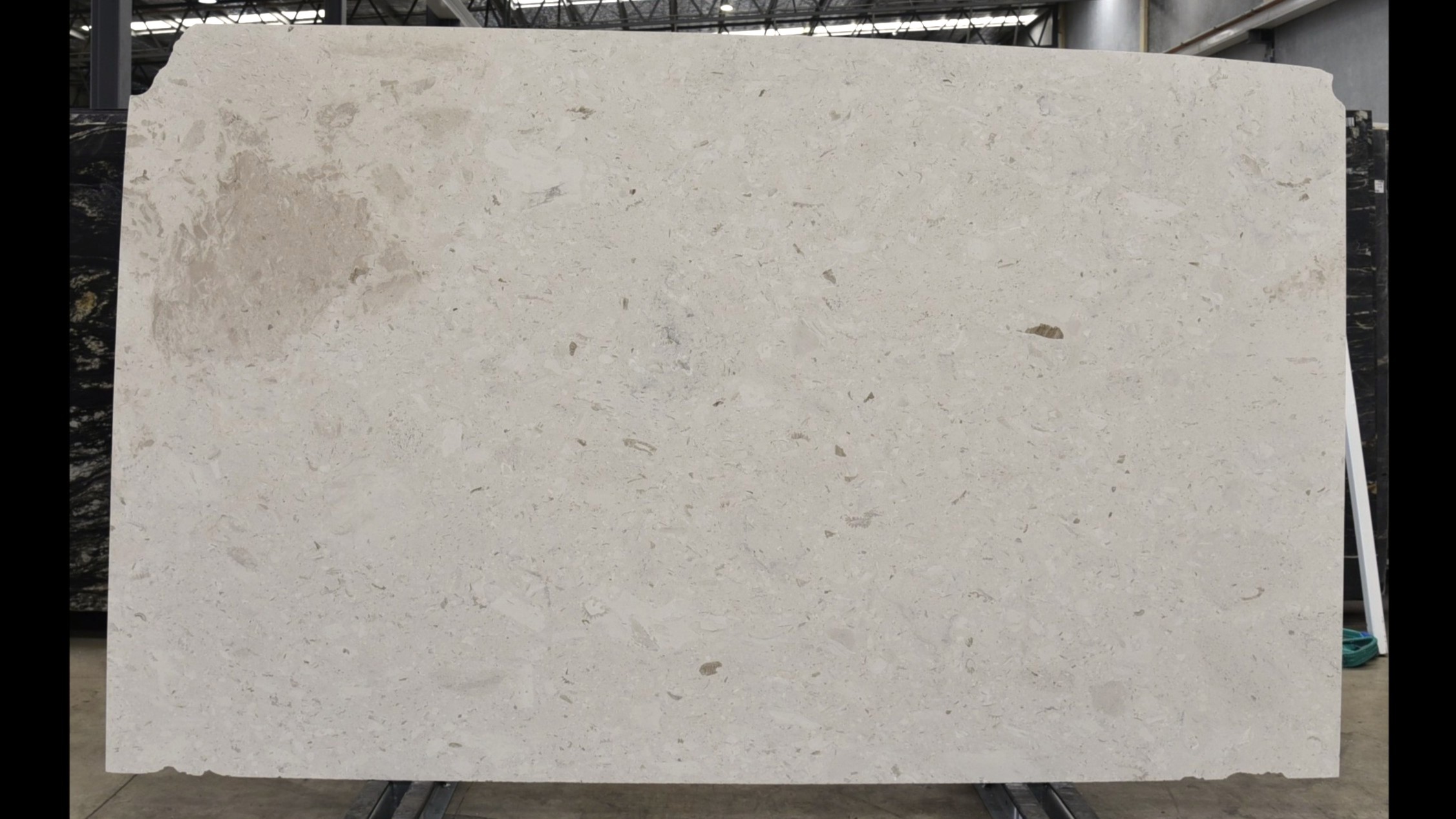 Panna Fossil Slabs - Image 2