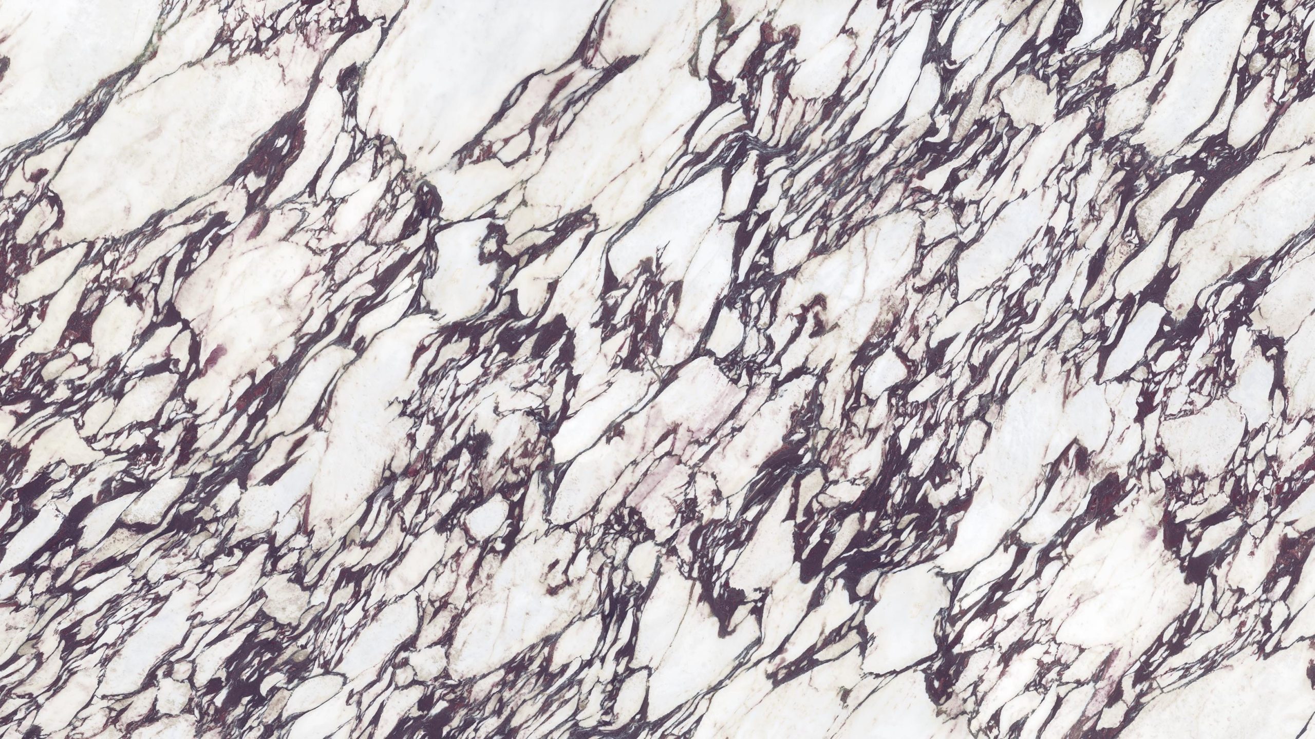 INFINITY Calacatta Viola