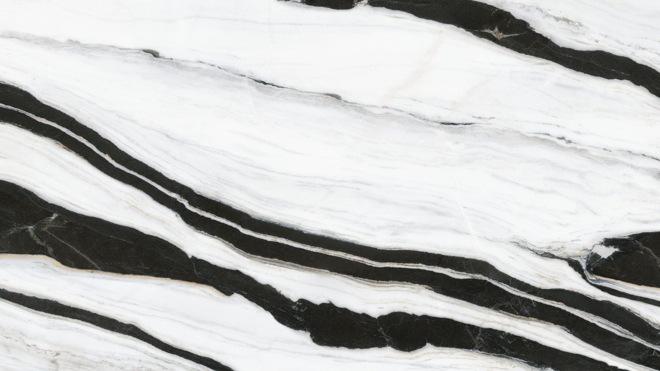 INFINITY Panda White