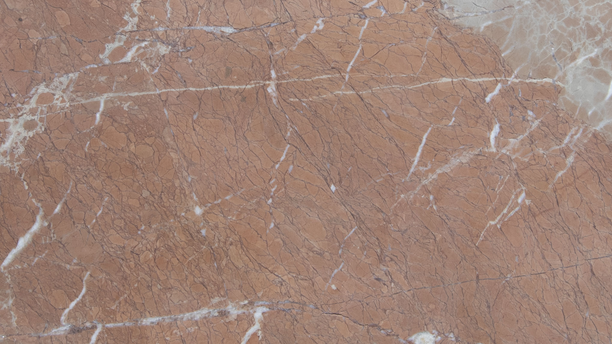 Plano Rosa Tiles